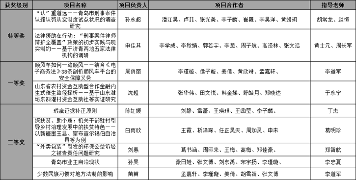 主要获奖项目信息